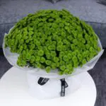 Green Chrysanthemum Bouquet 2 Green Toggle Blooms (3)
