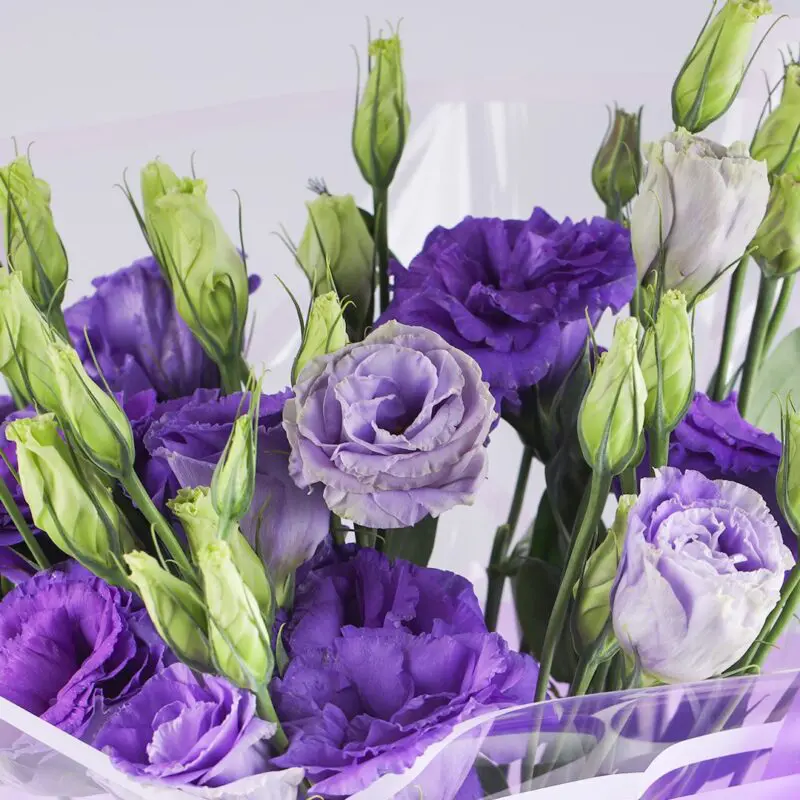 Lisianthus Purple Bouquet (3) Lisianthus Purple Bouquet 3