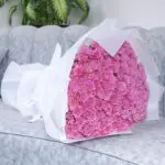 Pink Shades of Chrysanthemums (2)