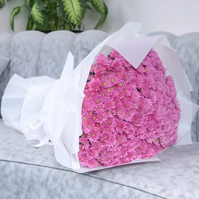 Pink Shades of Chrysanthemums 2