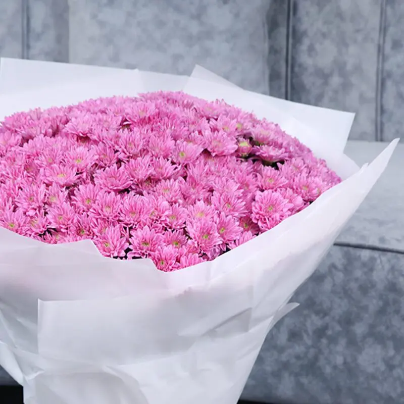 Pink Shades of Chrysanthemums 3