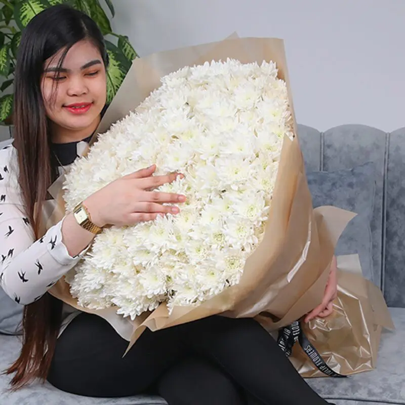 Whitening Beauty Chrysanthemum 1