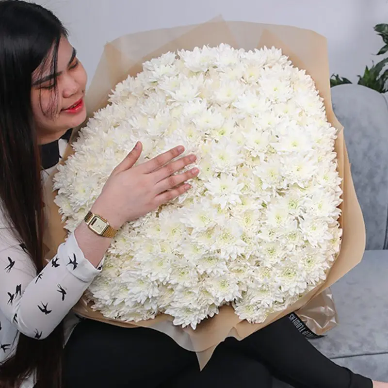 Whitening Beauty Chrysanthemum 3