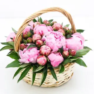 A wicker basket filled with pink peonies and greenery.
