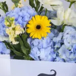 Father's Day Purest Blooms 3 3 (14)