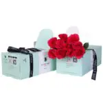 Dark Pinky - Green Box 1 Dark Pinky - Green Box