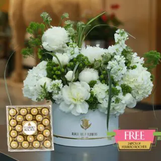 Elite White Box