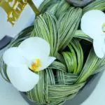 Prosperous Eid Al Adha Flower Arrangement 4 Prosperous Eid Al Adha Flower Arrangement (3)