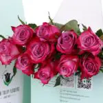 Purple Rose - Green Box 2 Purple Rose - Green Box (3)