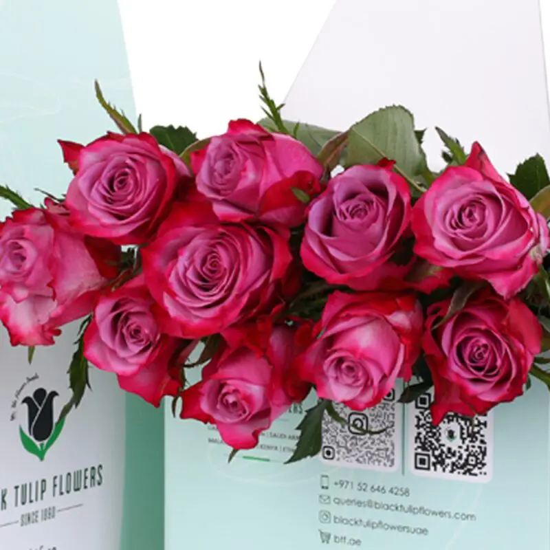 Purple Rose - Green Box (3) Purple Rose – Green Box