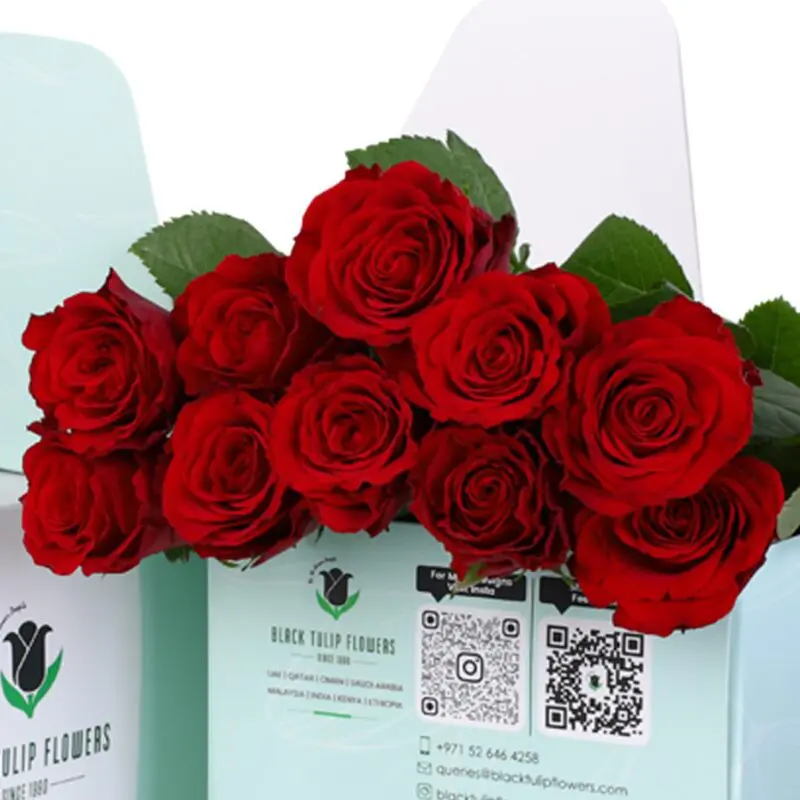 Red Rose - Green Box (3) Red Rose Green Box 3