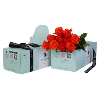 Spritz - Green Box