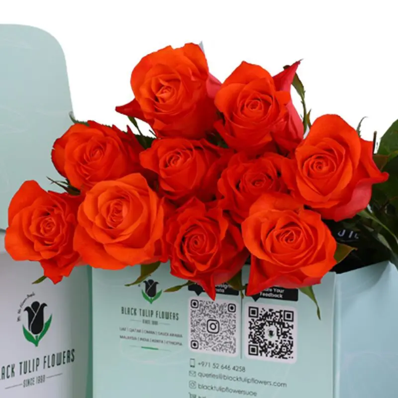 Spritz - Green Box (3) Red Roses Online Zoom in