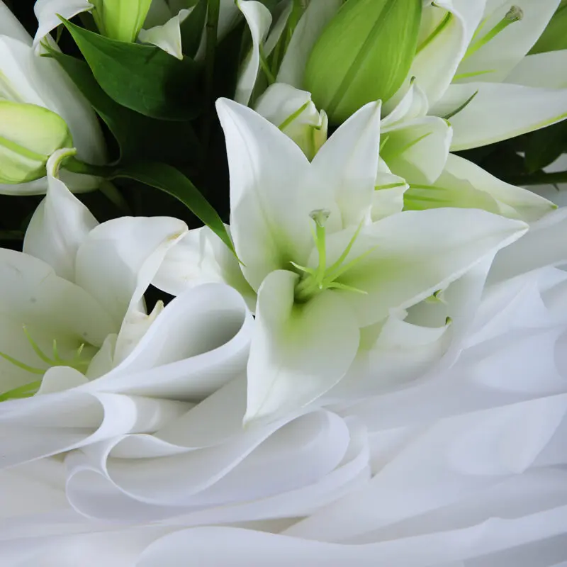 Casablanca White Lilies (2) Casablanca White Lilies 2