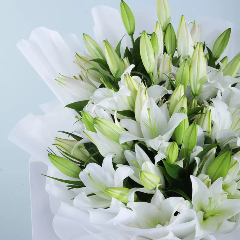 Casablanca White Lilies (3) Casablanca White Lilies 3