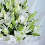 Casablanca White Lily Bouquet 2 Casablanca White Lilies (4)