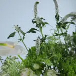 Pastel Green Floral Vase (4)
