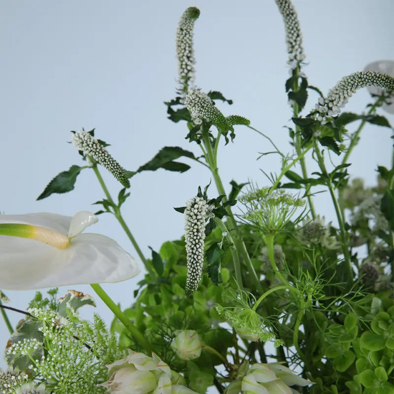 Pastel Green Floral Vase 4