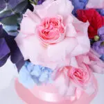 Pink Hatbox 2 Pink Hatbox (2)