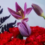 The Refined Bouquet (4)