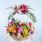 Elitefull Fruit Basket 1 01