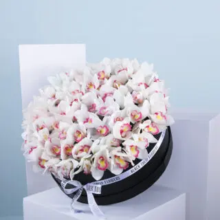 White orchid arrangement in a round black hat box.