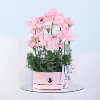 A light pink round box filled with 10 carnations, 10 roses, asparagus, and eucalyptus along with a white ribbon.