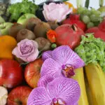 Elitefull Fruit Basket 2 02