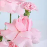 Romantic Pinkish Flower Box 2 02