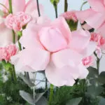 Romantic Pinkish Flower Box 4 03
