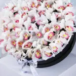 Idyllic Cymbidium 3 03