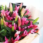 Stargazer Pink Lilies 3 03
