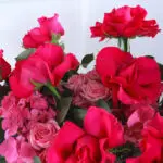 Charming Pink Medley 3 02
