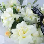 Pure Baby Rose 3 02