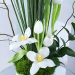 White Tulip Ruscus 2 02
