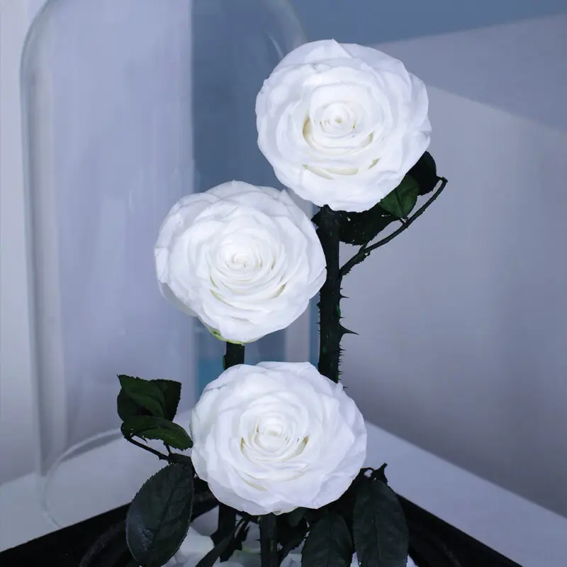 03 20