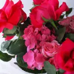 Charming Pink Medley 2 04