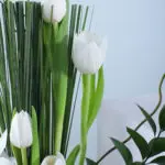 White Tulip Ruscus 4 04
