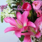 Graceful Pink Blooms in Vase 2 02