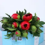 Red Peony in Pink Box 2 02