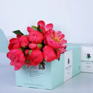 A bouquet of bright pink peonies in a light blue box with the Black Tulip Flowers logo.