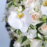 Rivulet White 2 02