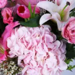 Graceful Pink Blooms in Vase 3 03