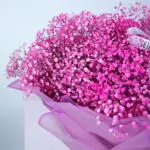 Romantic Pinkish Gypsophila 2 03