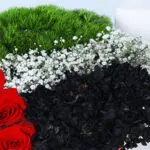 UAE Flag-themed Flower Box 3 03