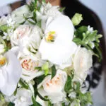 Rivulet White 3 03