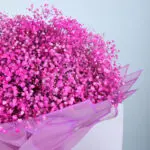 Romantic Pinkish Gypsophila 4 04