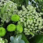 Verdant Meadow Arrangement 4 04