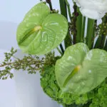 Blooms & Ferrero Extravaganza 2 02