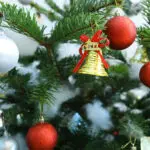 Majestic Evergreen Christmas Tree 2 02